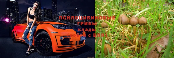 каннабис Бронницы