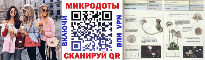 закладки  Старица  Галлюциногенные грибы Psilocybe 